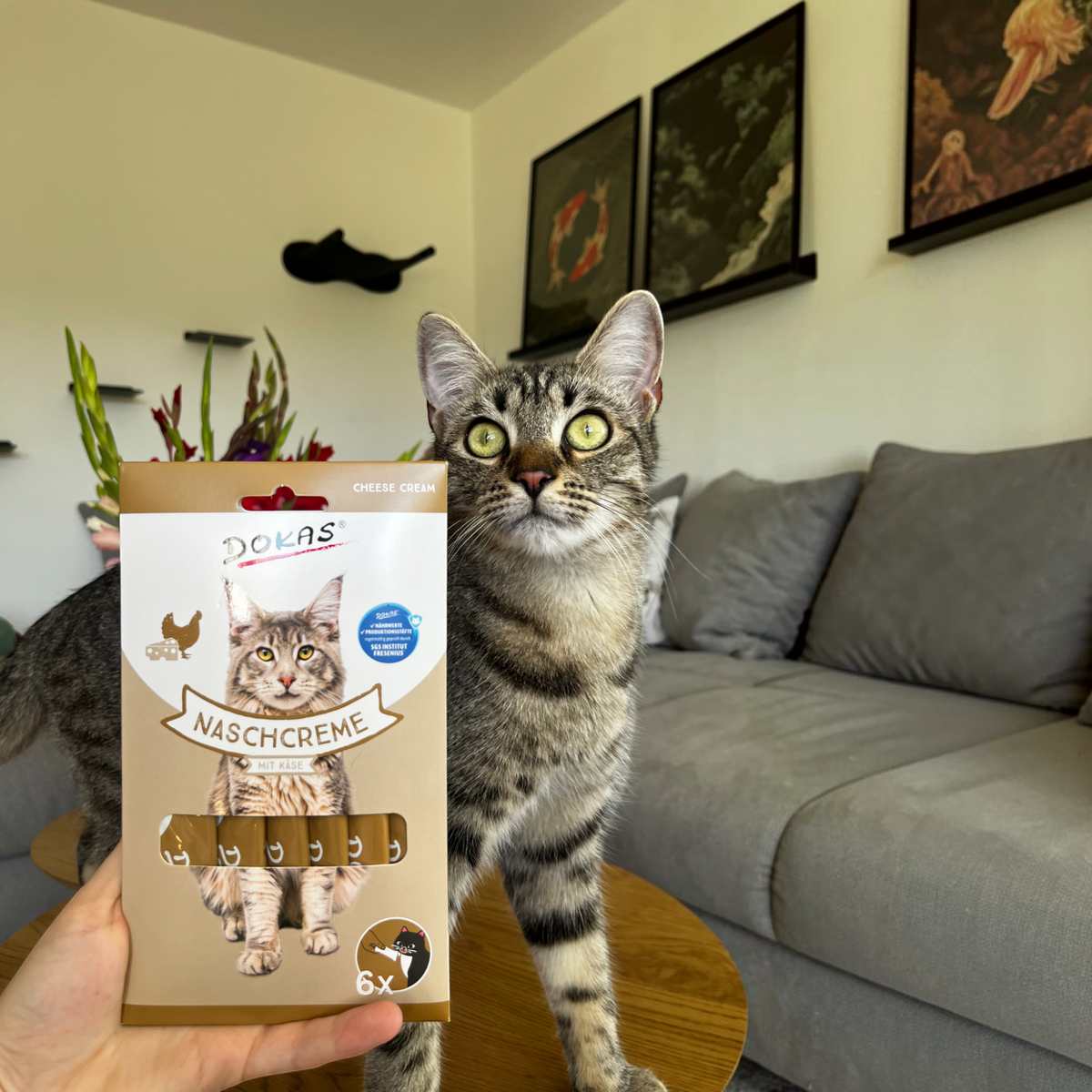 Dokas Cat - Nasch-Creme mit Käse