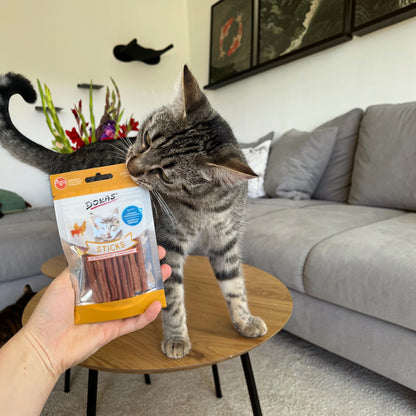 Dein Fellnasen Shop Dokas Katzensticks mit Huhn und Rinderleber, gehalten von einer Hand vor einer getigerten Katze