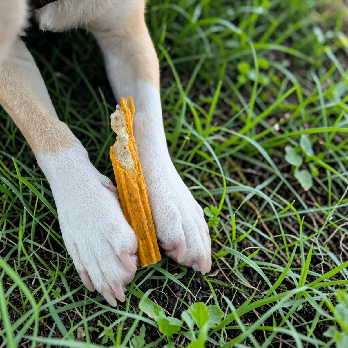 Dokas Dog - Churros mit Rinderleber