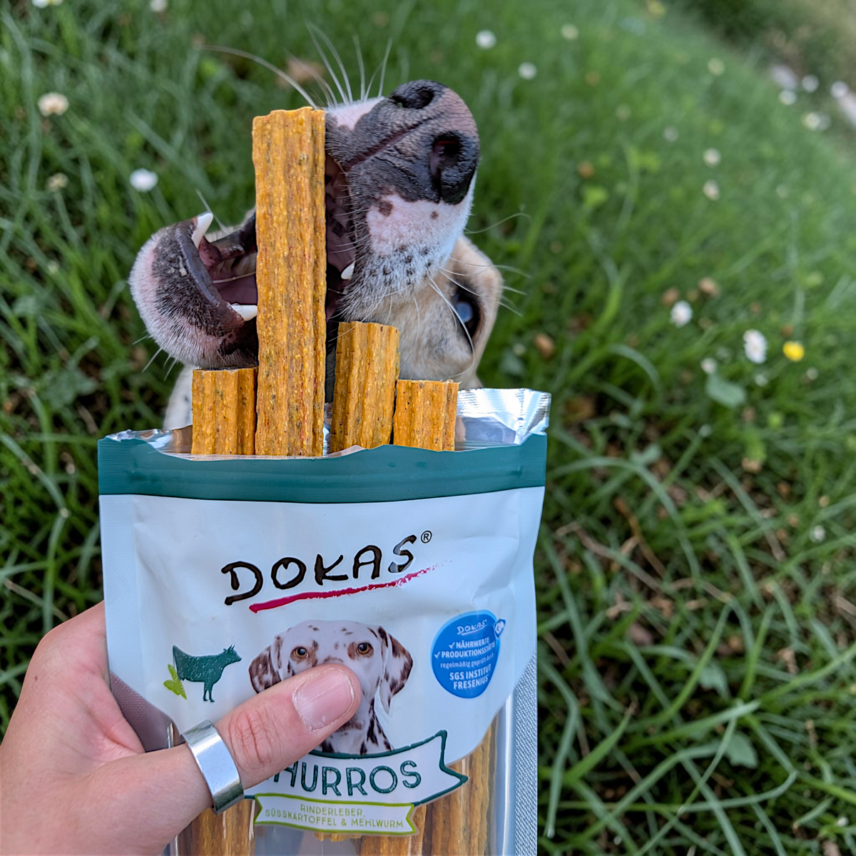 Dokas Dog - Churros mit Rinderleber