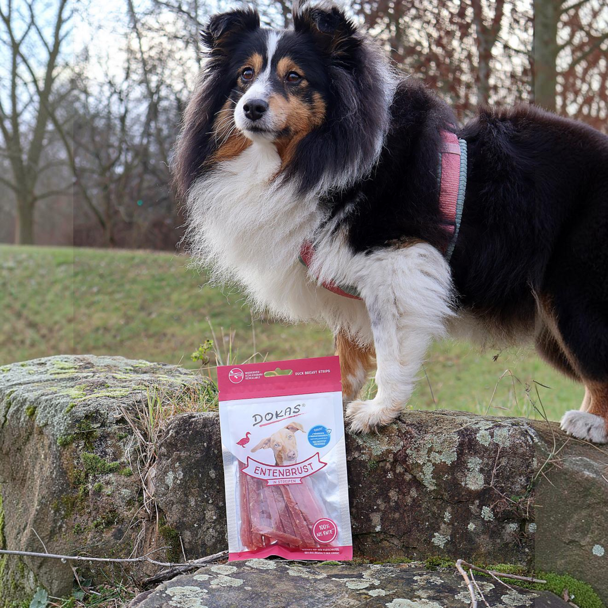 Dokas Dog - Entenbrust Streifen