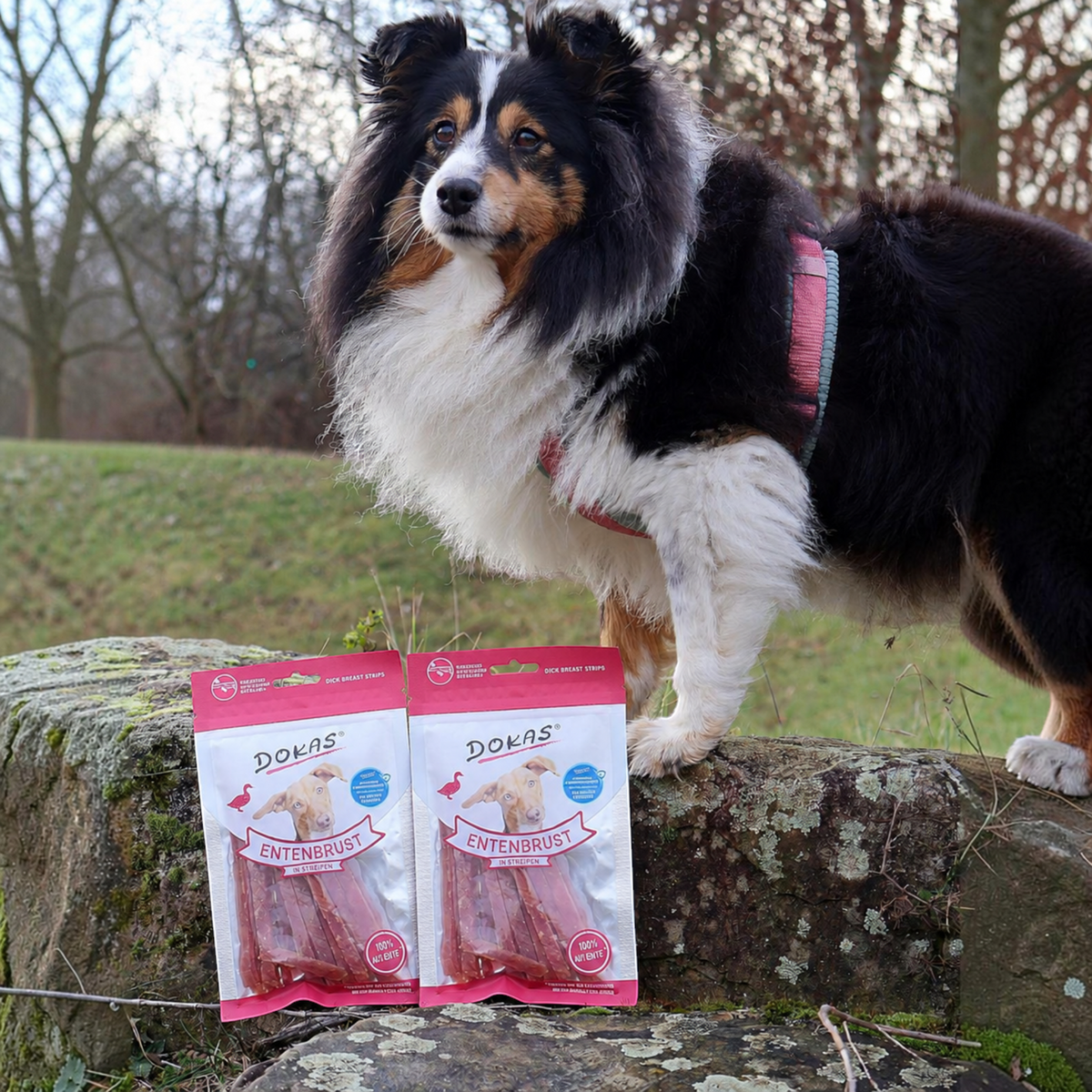 Dokas Dog - Entenbrust Streifen