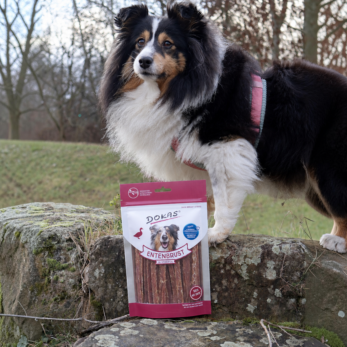 Dokas Dog - Entenbrust Streifen