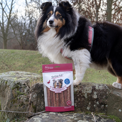 Dokas Dog - Entenbrust Streifen