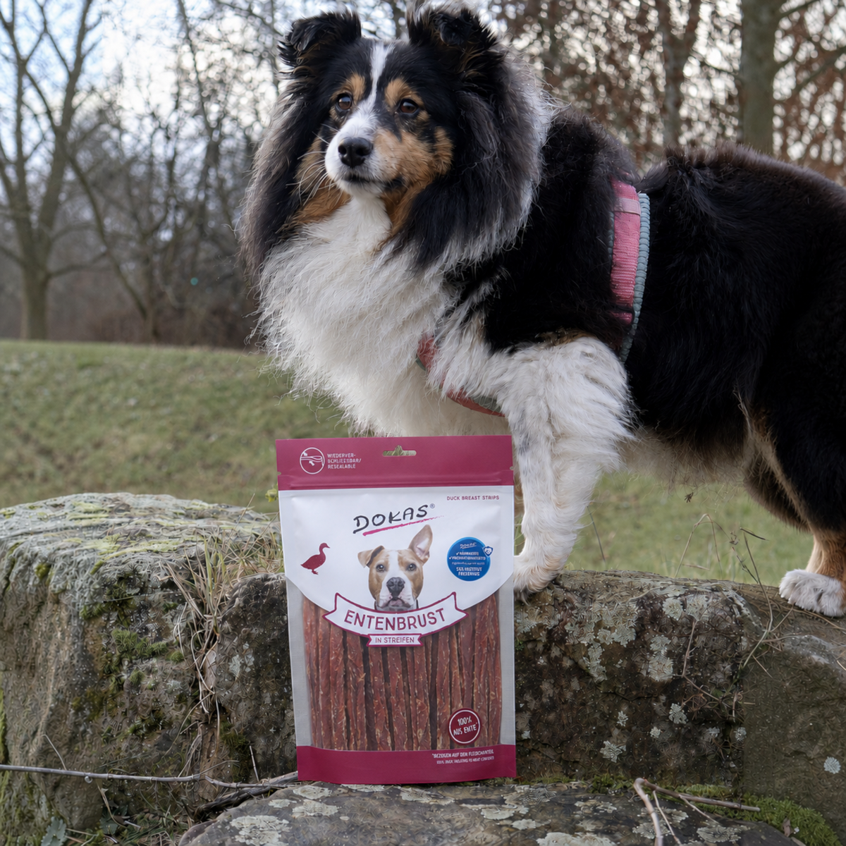 Dokas Dog - Entenbrust Streifen