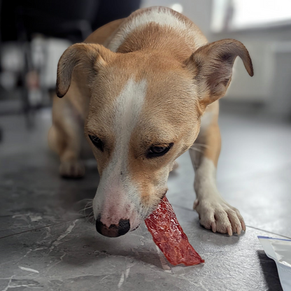 Dokas Dog - Entenbrust getrocknet