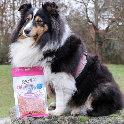 Dokas Dog - Hühnchen mit Reis & Sesam