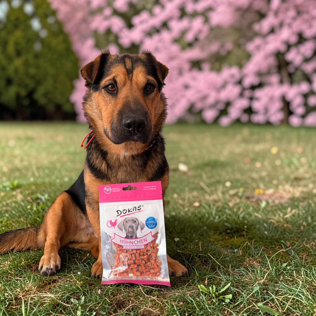 Dokas Dog - Hühnchen mit Reis & Sesam