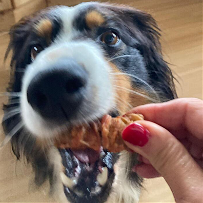 Dokas Dog - Kaurolle Hühnerbrust