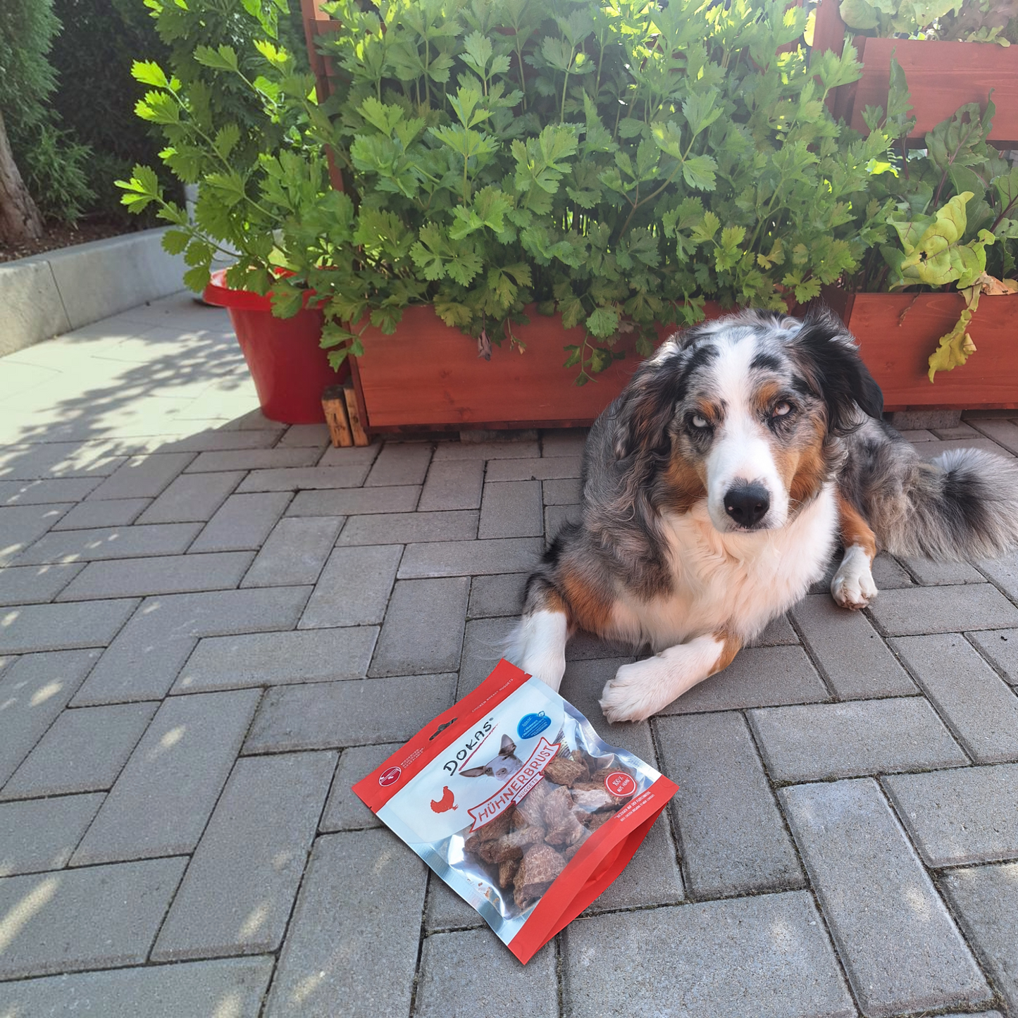 Dokas Dog - Hühnerbrust Nuggets