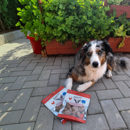 Dokas Dog - Hühnerbrust Nuggets