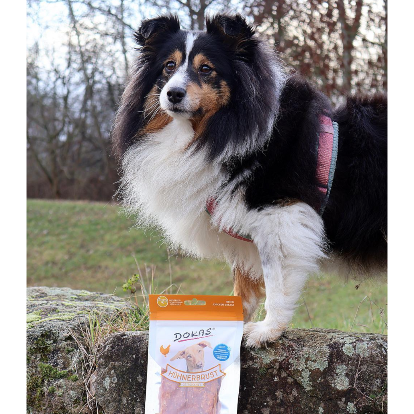 Dokas Dog - Hühnerbrust getrocknet