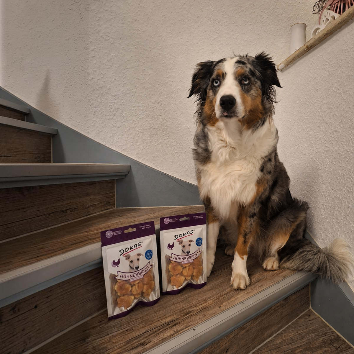 Dokas Dog - Hühnerbrust mit Banane