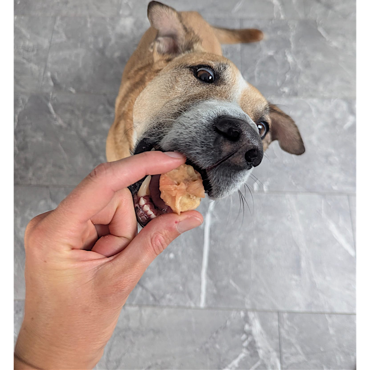 Dokas Dog - Hühnerbrust mit Banane