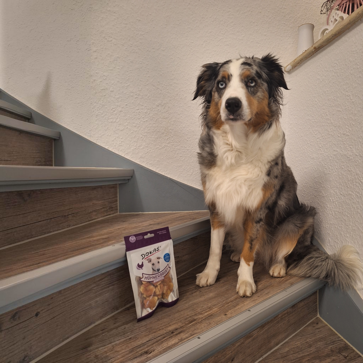 Dokas Dog - Hühnerbrust mit Banane
