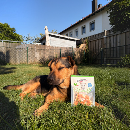 Dokas Dog - Hühnerbrust mit Kokosnuss