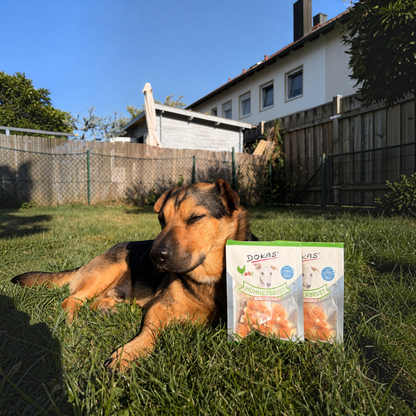Dokas Dog - Hühnerbrust mit Kokosnuss