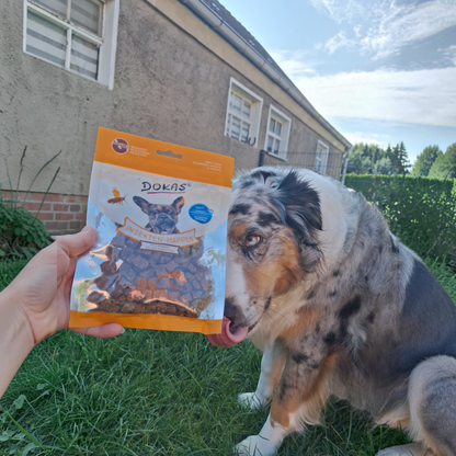 Dokas Dog - Insekten-Happen mit Karotte