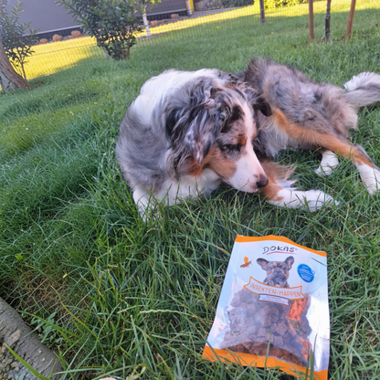 Dokas Dog - Insekten-Happen mit Karotte