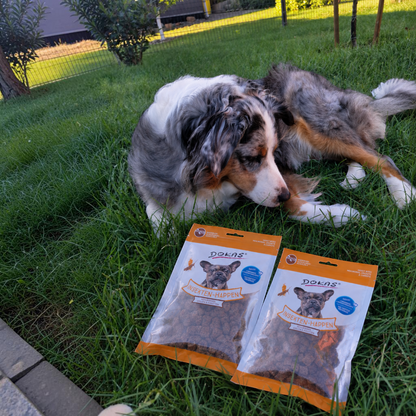 Dokas Dog - Insekten-Happen mit Karotte