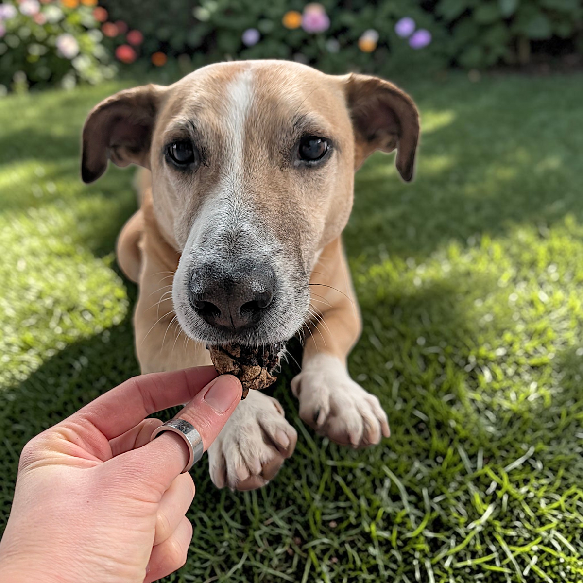 Dokas Dog - Kaninchen-Innereien
