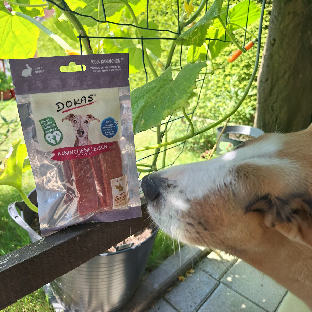 Dokas Dog - Kaninchenfleisch getrocknet