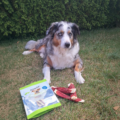 Dokas Dog - Kaurippe mit Entenbrustfilet