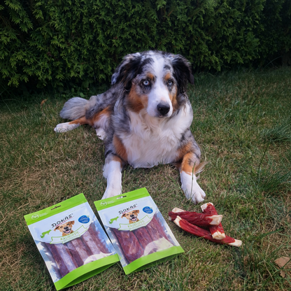 Dokas Dog - Kaurippe mit Entenbrustfilet