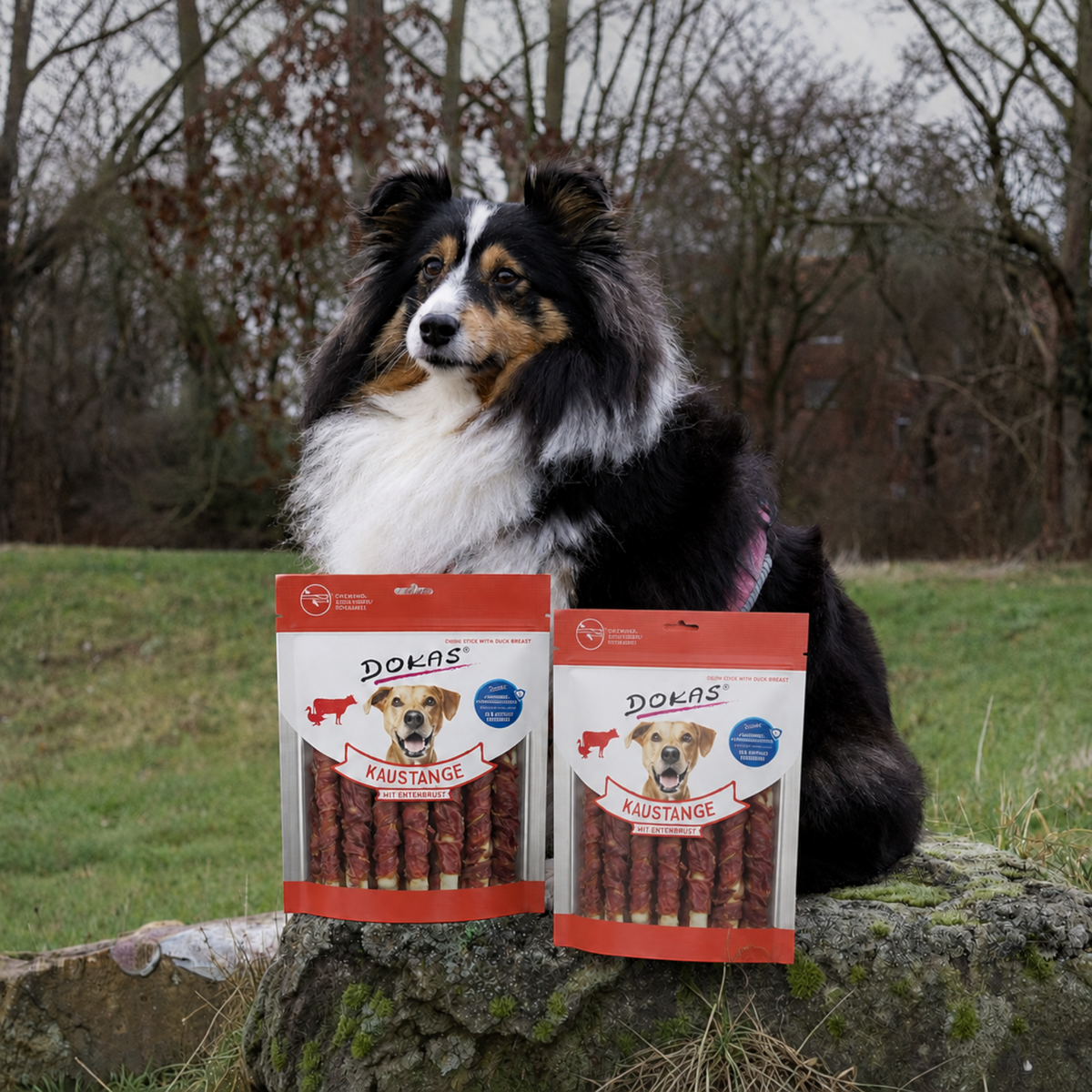 Dokas Dog - Kaustange mit Entenbrust