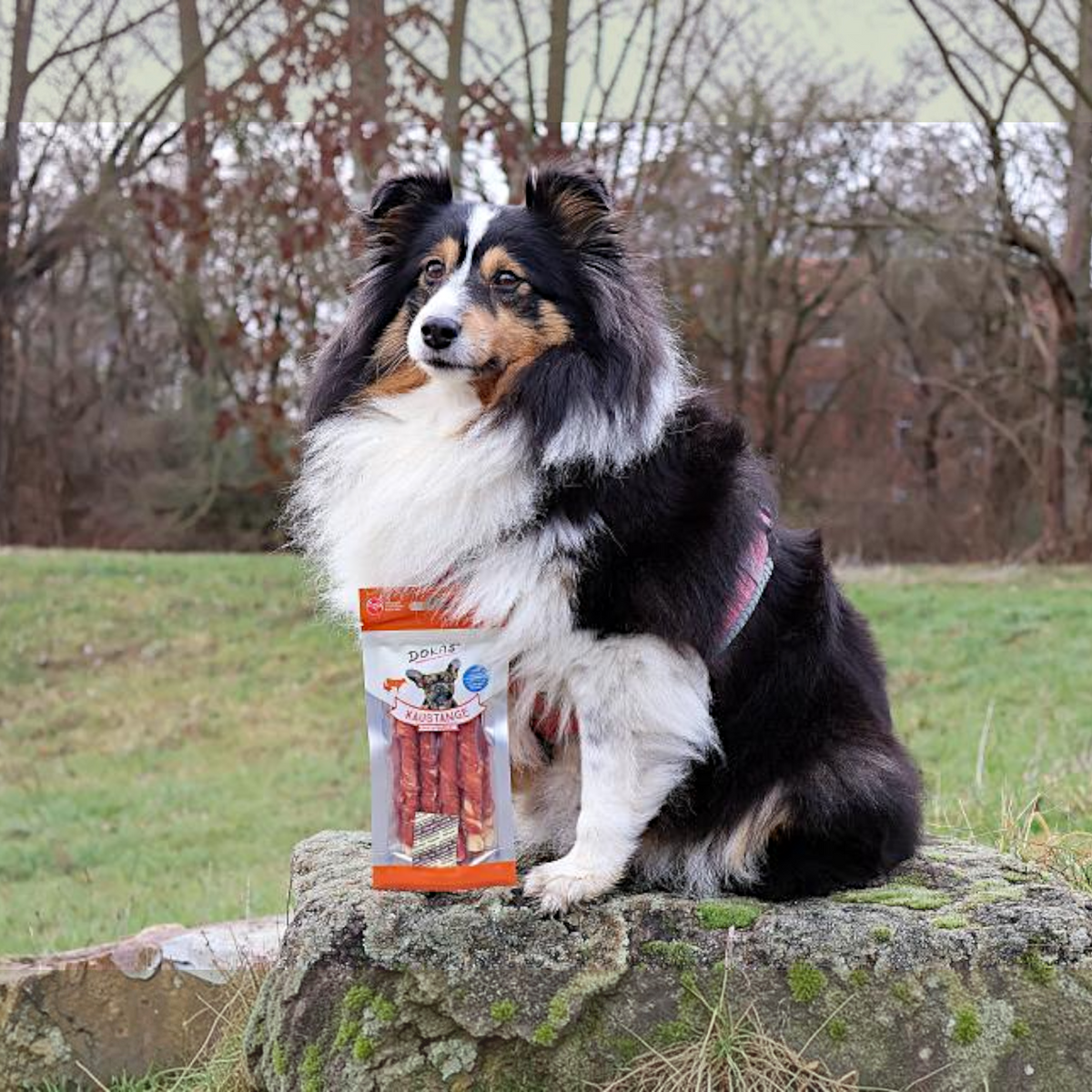 Dokas Dog - Kaustange mit Entenbrust