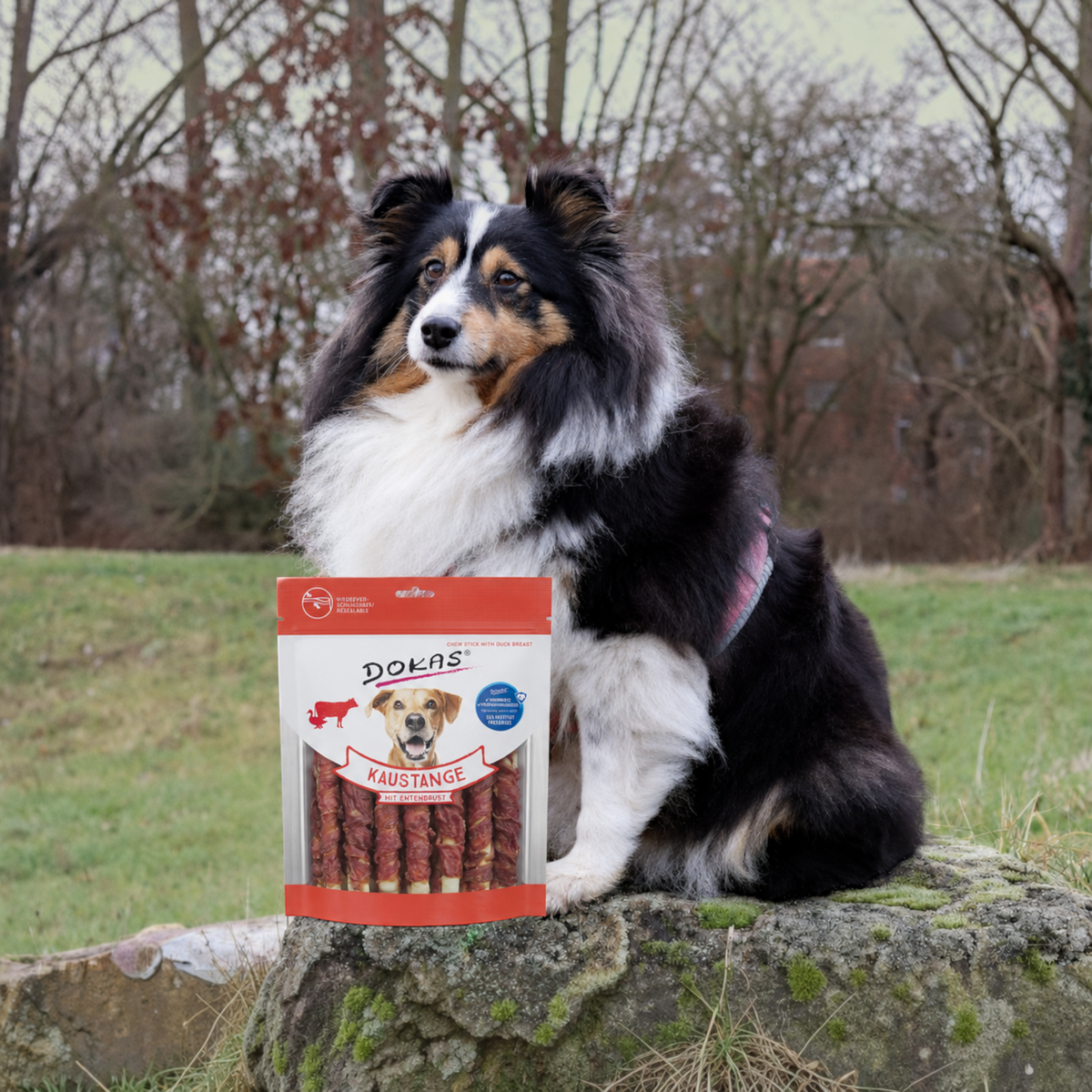 Dokas Dog - Kaustange mit Entenbrust