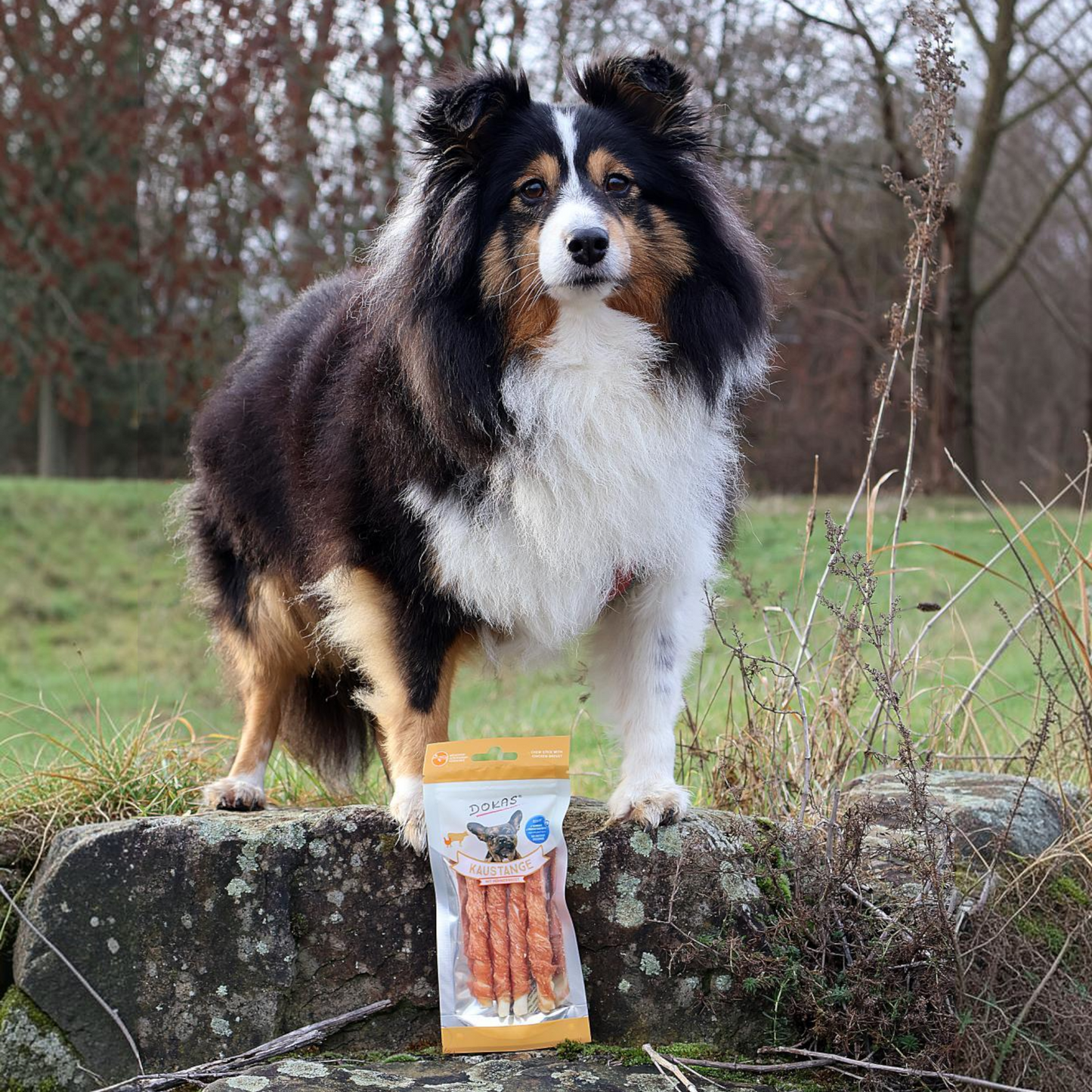 Dokas Dog - Kaustange mit Hühnerbrust
