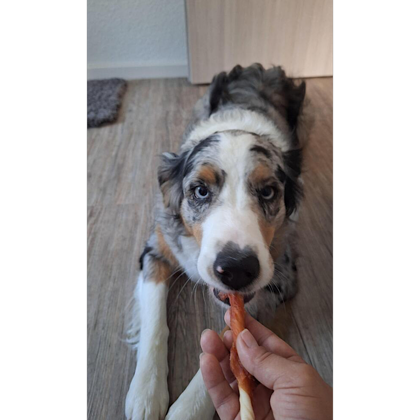 Dokas Dog - Kaustange mit Hühnerbrust