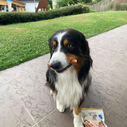 Dokas Dog - Kaustange mit Hühnerbrust