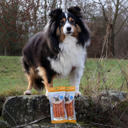 Dokas Dog - Kaustange mit Hühnerbrust