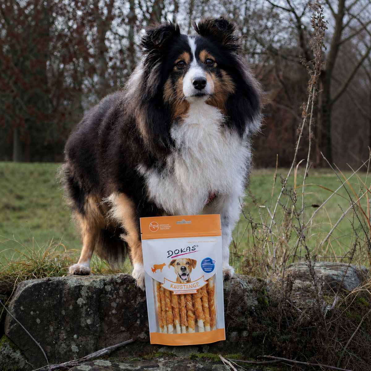Dokas Dog - Kaustange mit Hühnerbrust