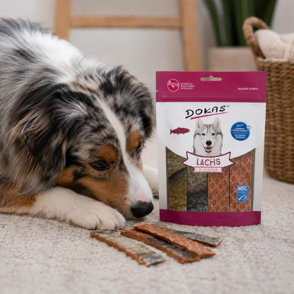 Dokas Dog - Lachs Streifen