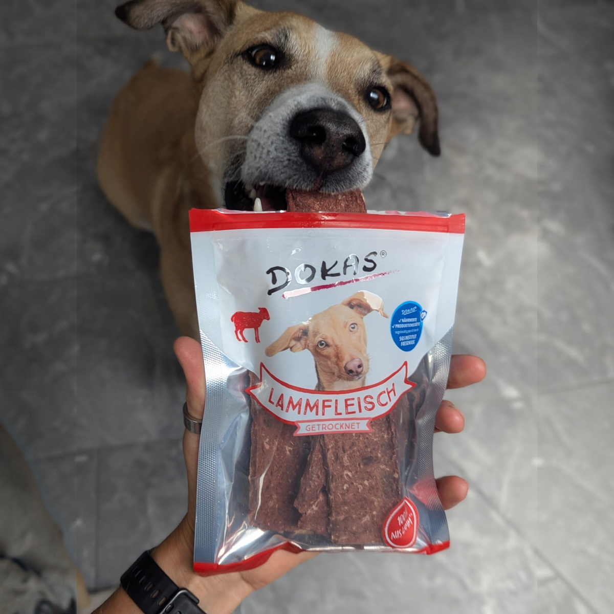 Dokas Dog - Lammfleisch getrocknet