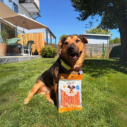 Dokas Dog - Löckchen mit Hühnerbrust