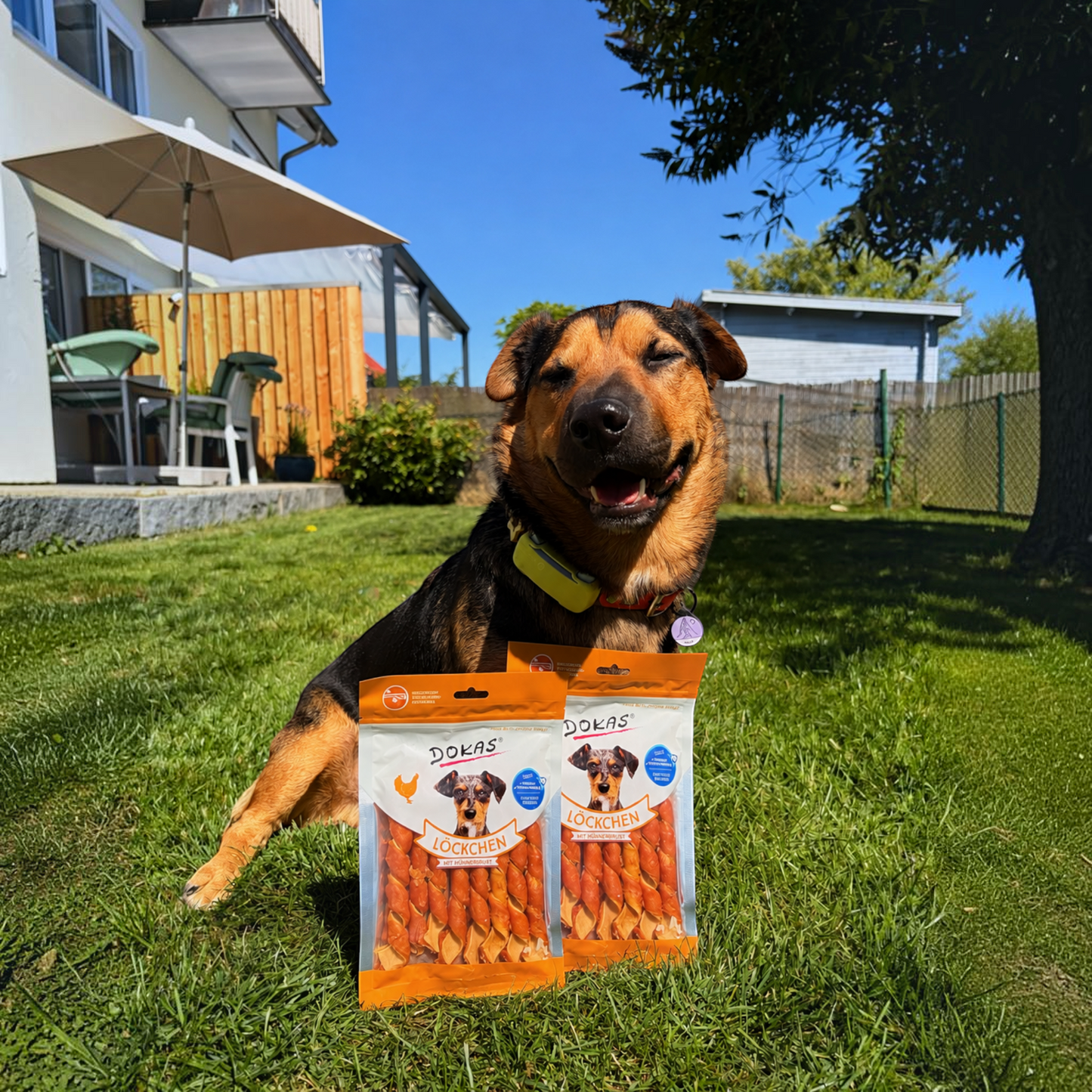 Dokas Dog - Löckchen mit Hühnerbrust