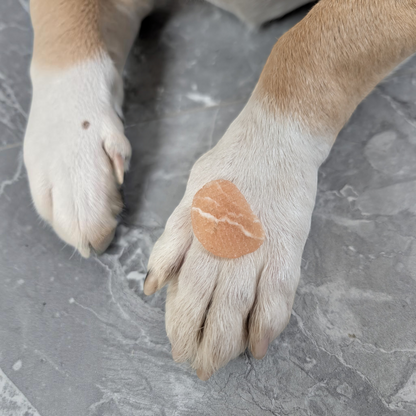 Dokas Dog - Mini Steaks Hühnerbrust