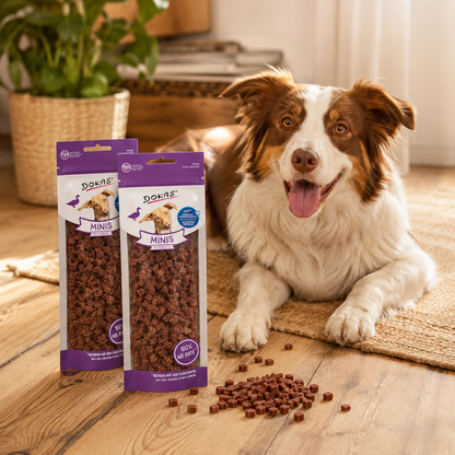 Dokas Dog - Minis Entenbrust