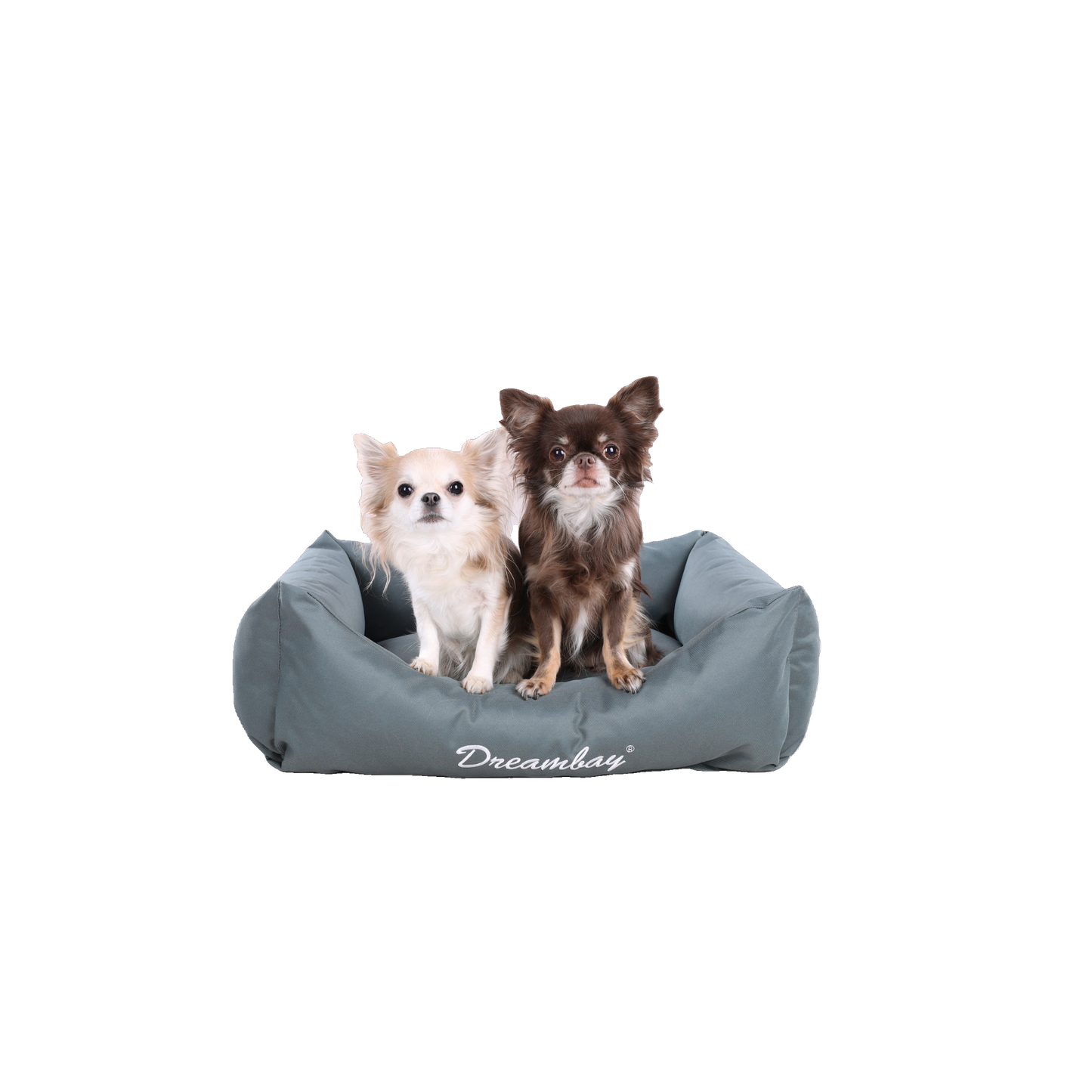 Dreambay® Rechteckiger Hundekorb – Komfortabel, pflegeleicht und nachhaltig