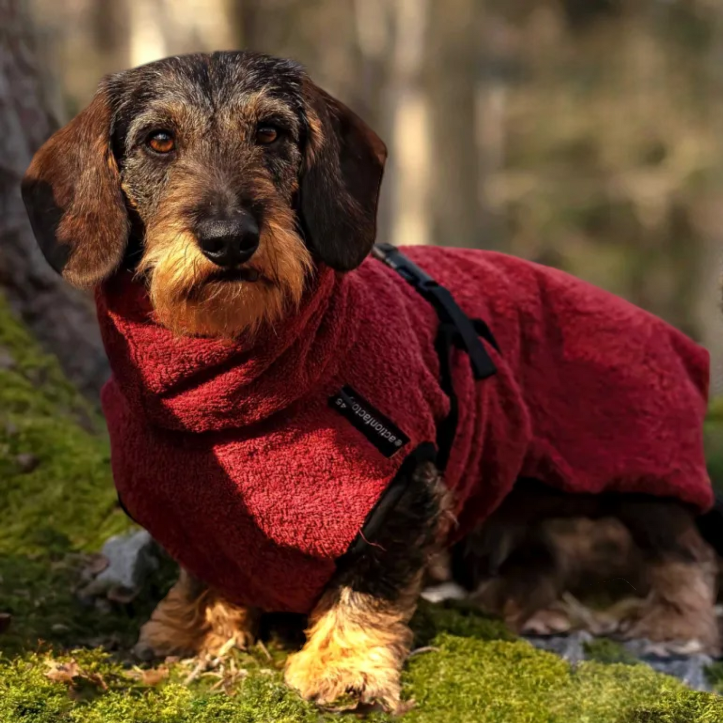 Actionfactory - Hundebademantel Baumwolle (DryUp Cape) für alle Größen & Rassen