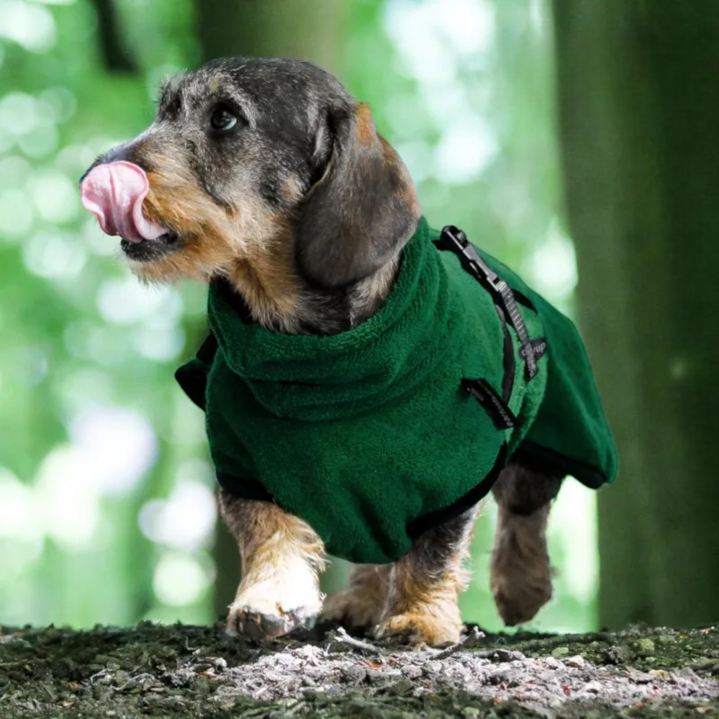 Actionfactory - Hundebademantel Baumwolle (DryUp Cape) für alle Größen & Rassen