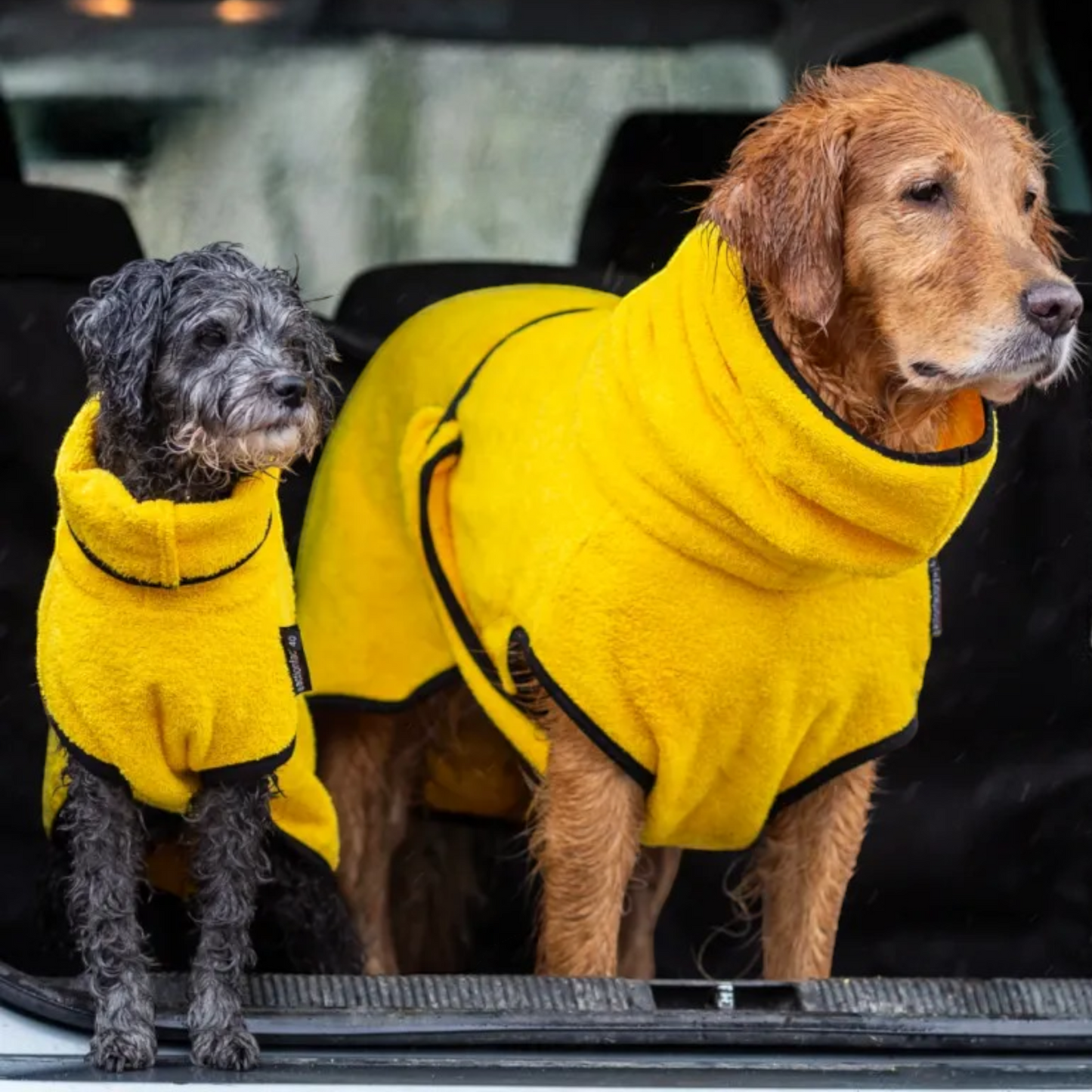 Actionfactory - Hundebademantel Baumwolle (DryUp Cape) für alle Größen & Rassen
