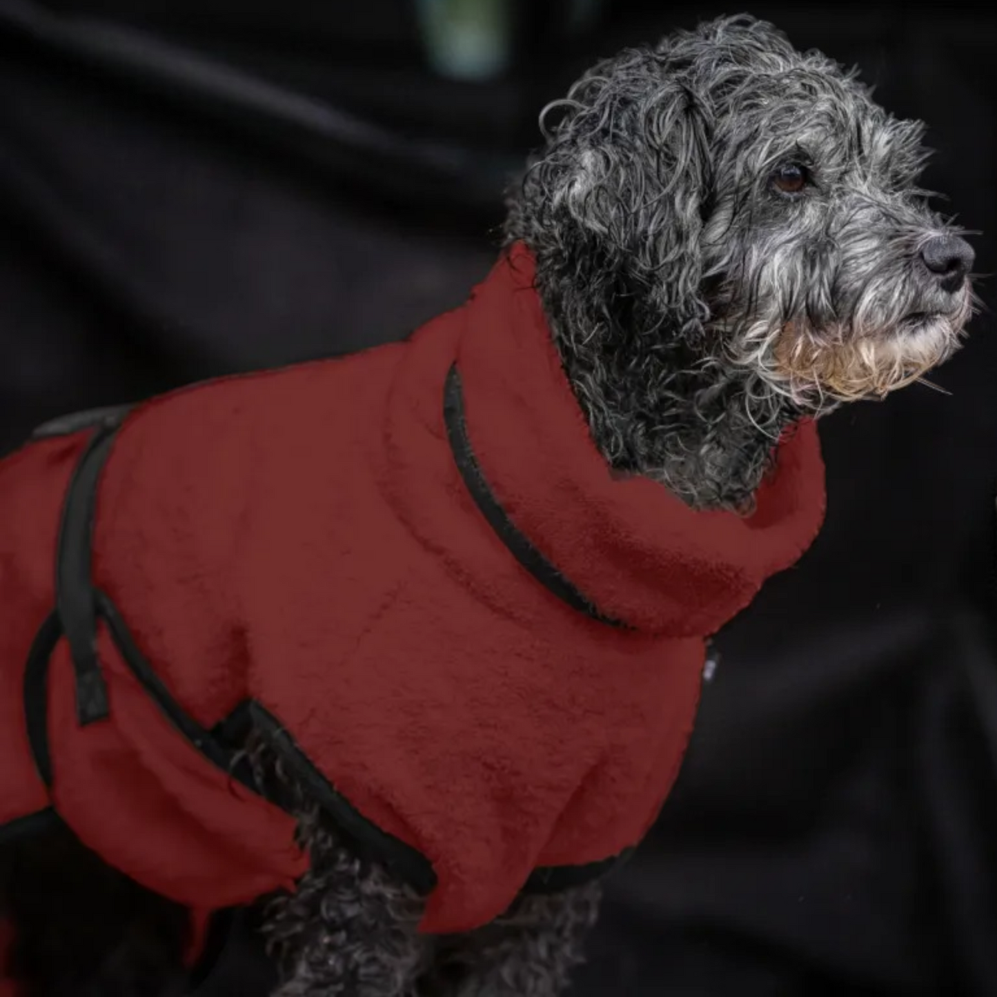 Actionfactory - Hundebademantel Baumwolle (DryUp Cape) für alle Größen & Rassen