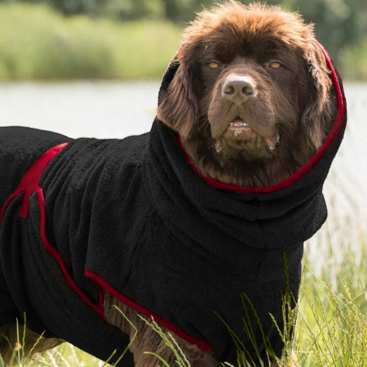 Actionfactory - Hundebademantel Baumwolle (DryUp Cape) für alle Größen & Rassen