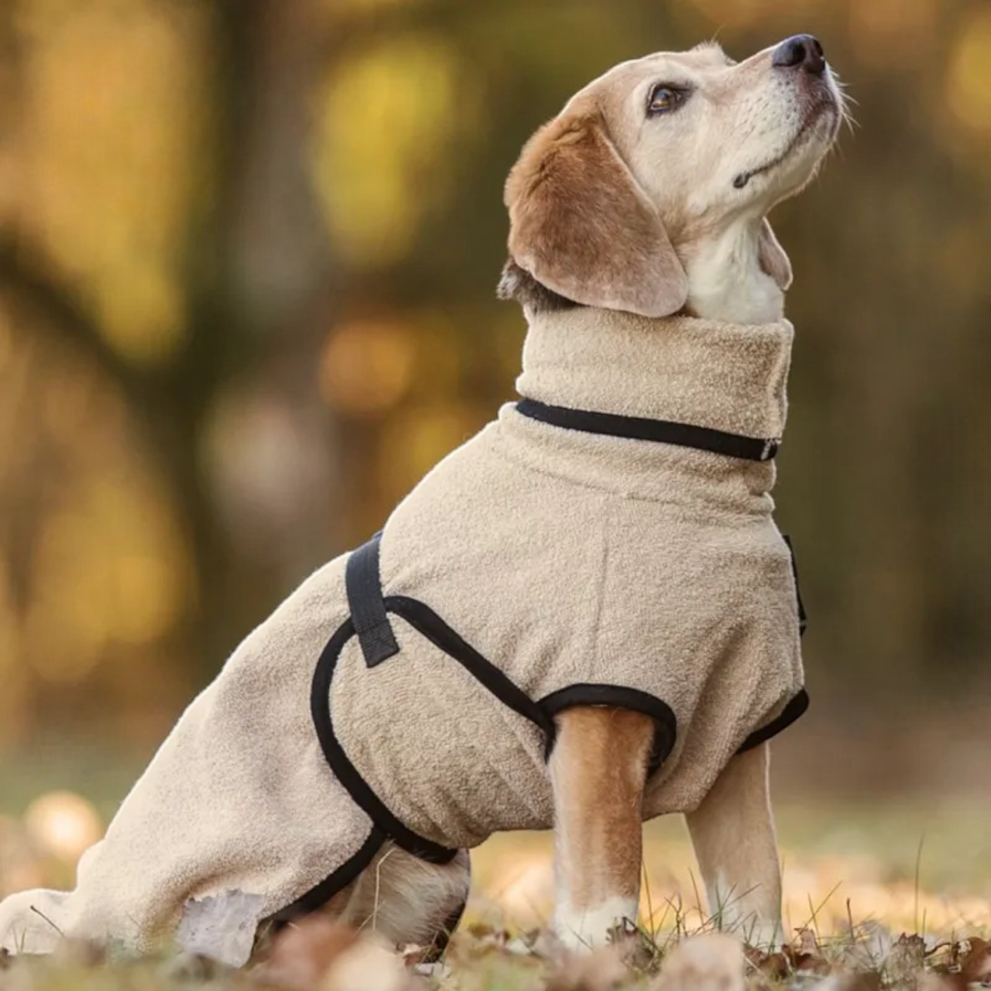 Actionfactory - Hundebademantel Baumwolle (DryUp Cape) für alle Größen & Rassen
