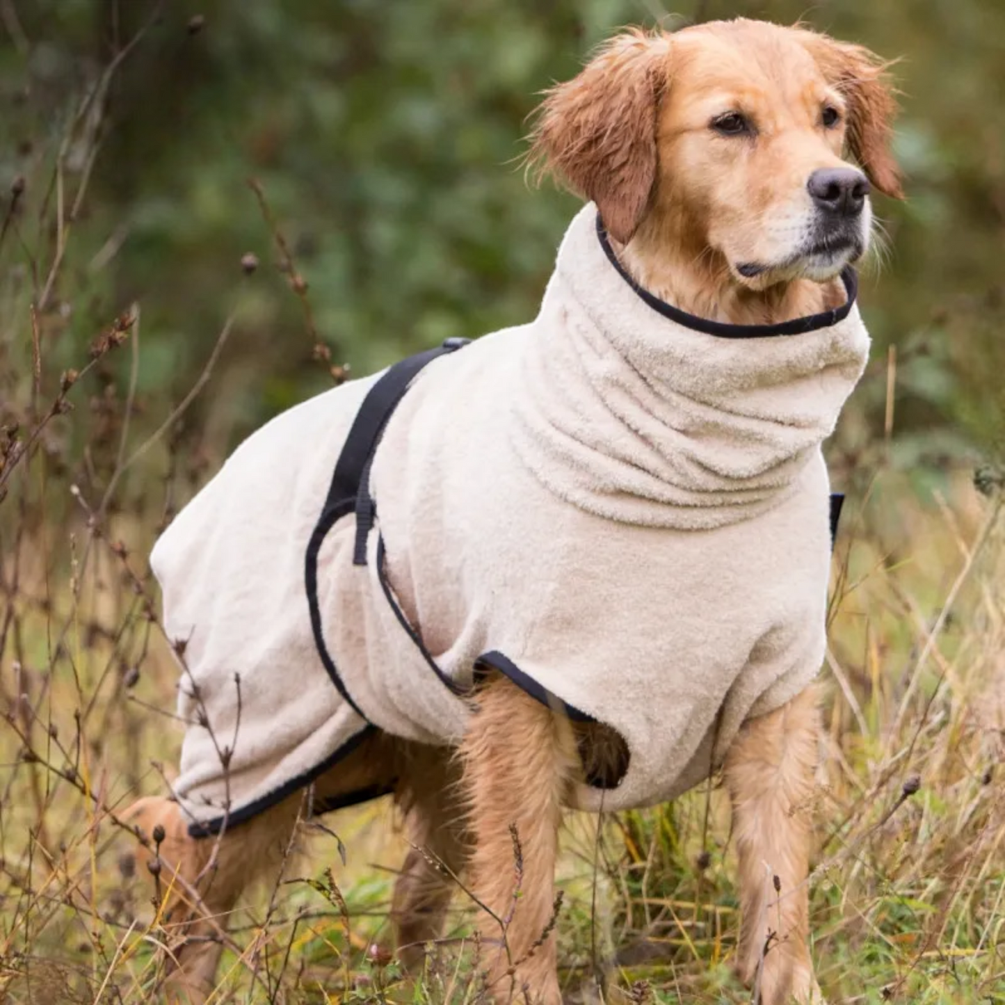 Actionfactory - Hundebademantel Baumwolle (DryUp Cape) für alle Größen & Rassen
